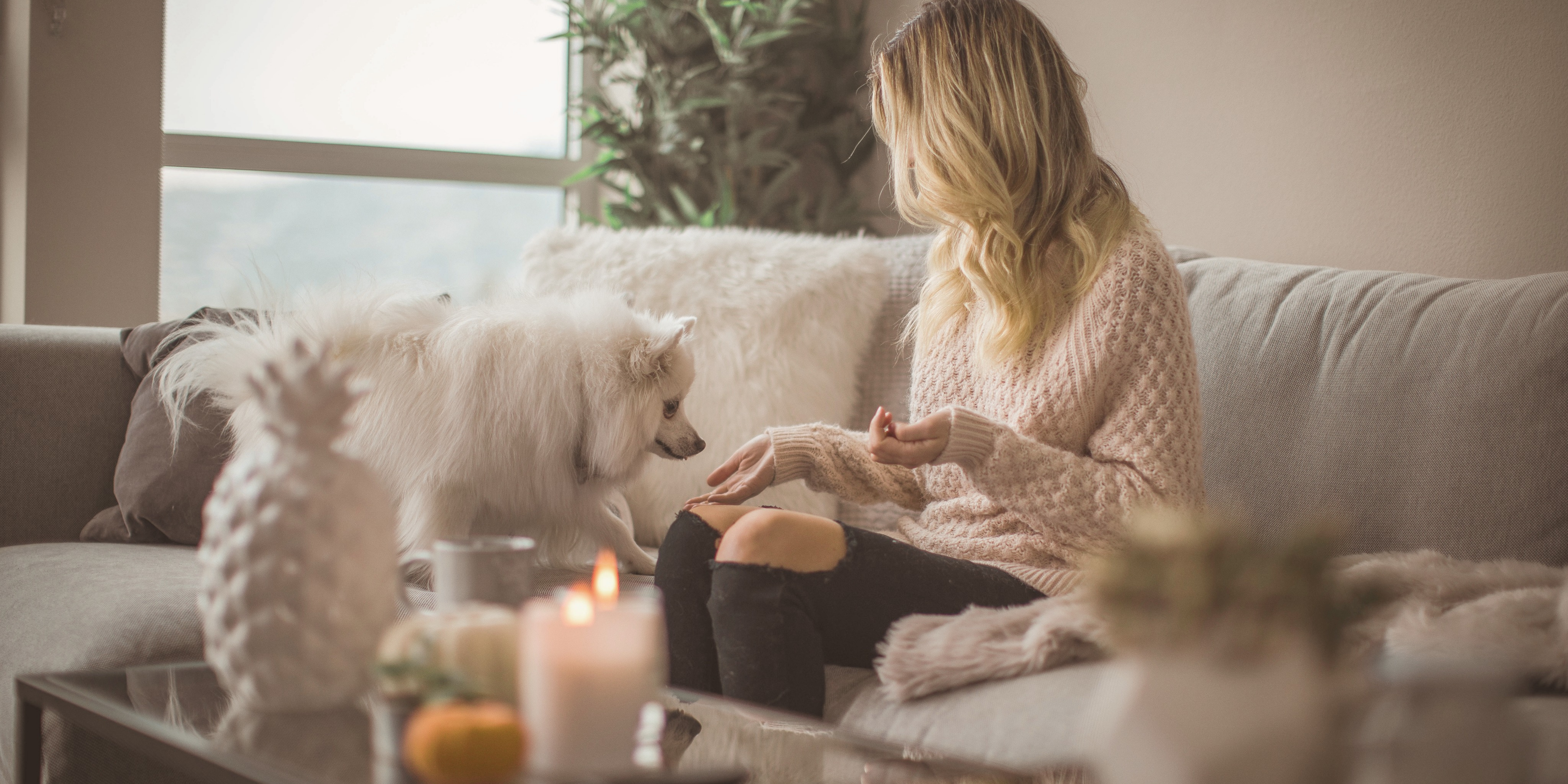 Moteris su šunimi sėdi ant sofos